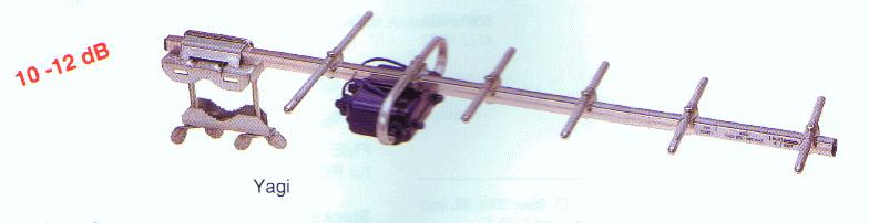 yagi.jpg
